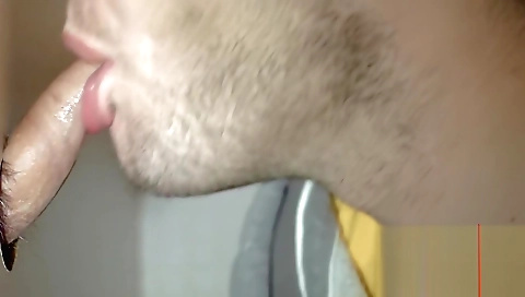 Myash pearwalexi