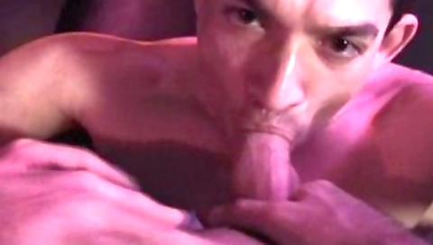 Two blondes fuck each other with their pussies