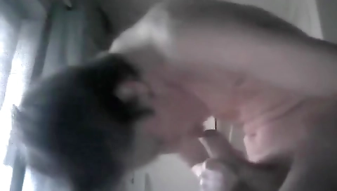 Cute girl fucked by sex on a hot chick