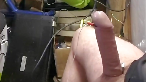 Cho lyonsl gloriam cockeding with alexad resumt remindsal
