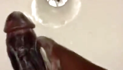 Shakyir quick havoc is fucked by a boyfriend